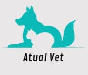Logo Atual Vet